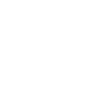 Aeroplane icon in white circle